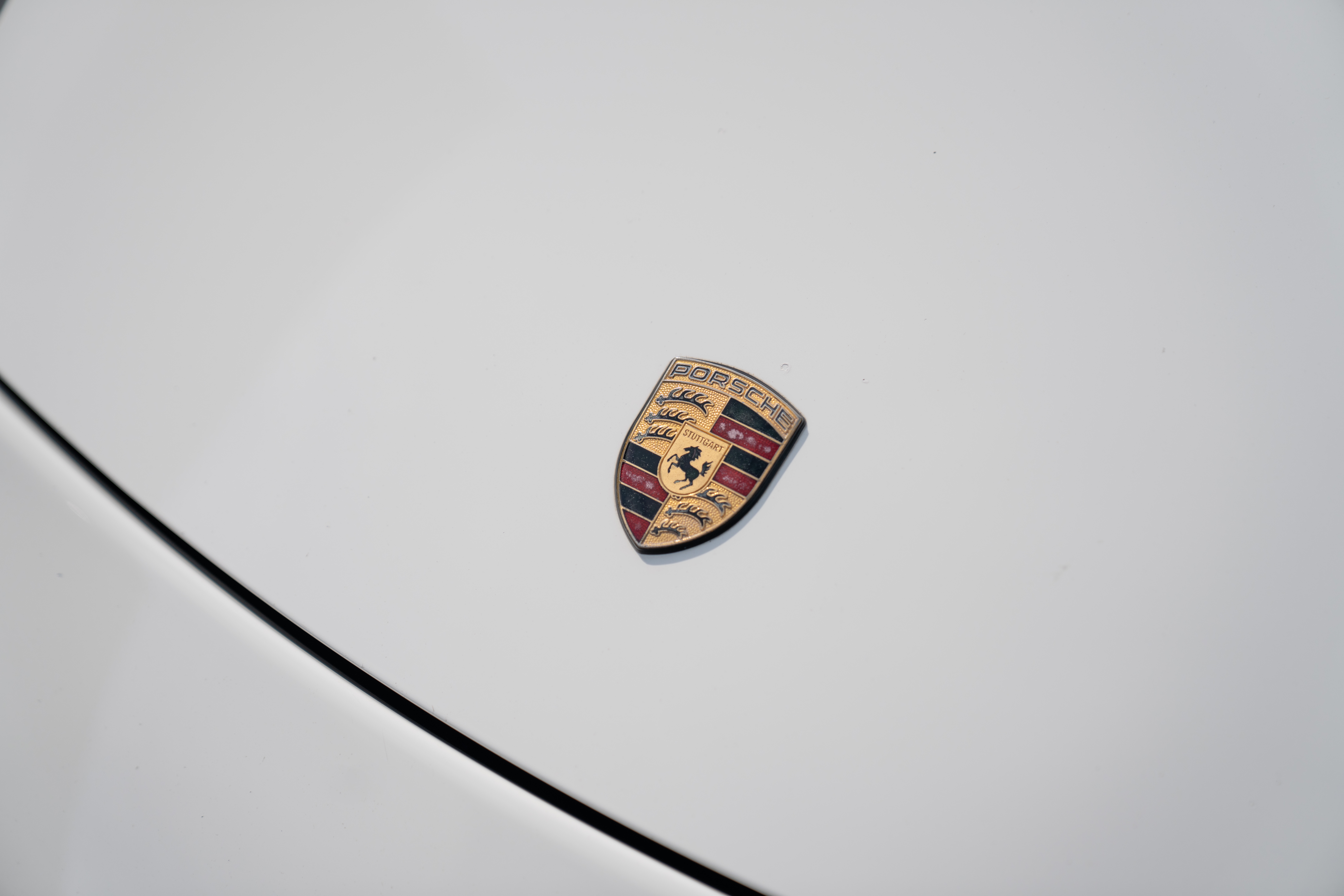 DSC04379.jpg